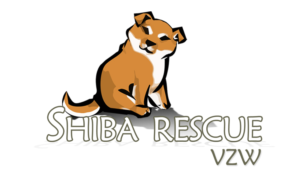 Shiba Rescue